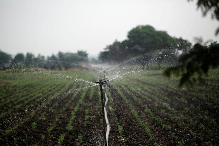 Fotografía de un riego automático en un terreno de cultivo